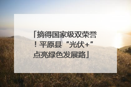 摘得国家级双荣誉！平原县“光伏+”点亮绿色发展路
