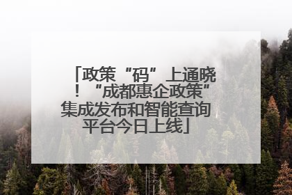 政策“码”上通晓！“成都惠企政策”集成发布和智能查询平台今日上线
