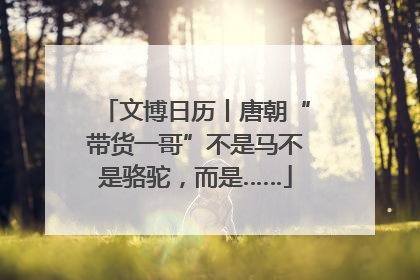 文博日历丨唐朝“带货一哥”不是马不是骆驼，而是……