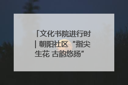 文化书院进行时｜朝阳社区“指尖生花 古韵悠扬”公益课堂开课了