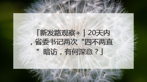 新发路观察+｜20天内，省委书记两次“四不两直”暗访，有何深意？