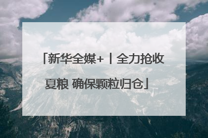 新华全媒+丨全力抢收夏粮 确保颗粒归仓