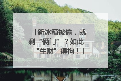 新冰箱被偷，就剩“俩门”？如此“生财”得拘！
