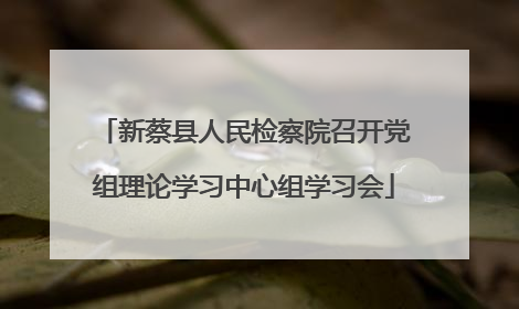 新蔡县人民检察院召开党组理论学习中心组学习会