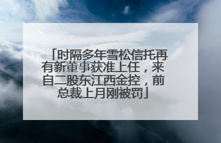 时隔多年雪松信托再有新董事获准上任，来自二股东江西金控，前总裁上月刚被罚