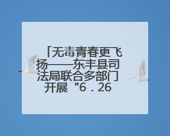 无毒青春更飞扬——东丰县司法局联合多部门开展“6．26”国际禁毒日校园宣讲活动