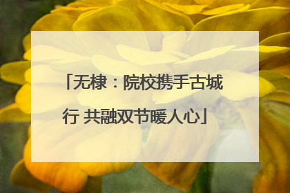 无棣：院校携手古城行 共融双节暖人心