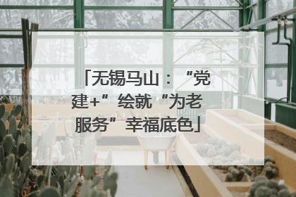 无锡马山：“党建+”绘就“为老服务”幸福底色