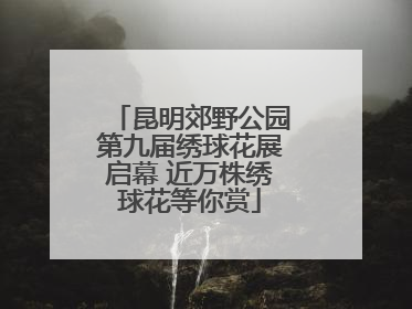 昆明郊野公园第九届绣球花展启幕 近万株绣球花等你赏