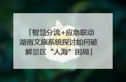 智慧分流+应急联动 湖南文旅系统探讨如何破解景区“人海”困局
