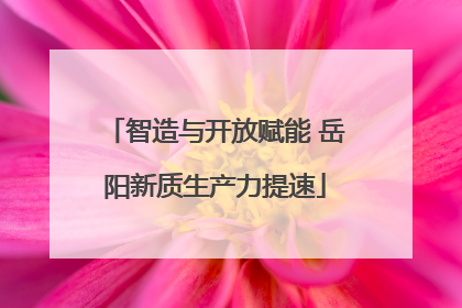 智造与开放赋能 岳阳新质生产力提速