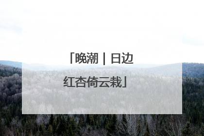 晚潮｜日边红杏倚云栽