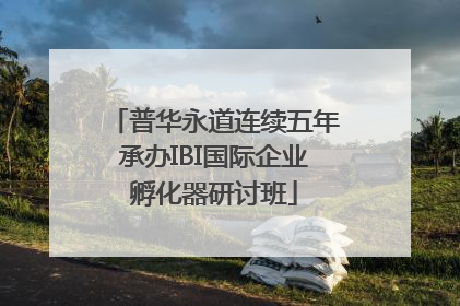 普华永道连续五年承办IBI国际企业孵化器研讨班