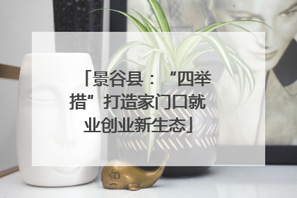 景谷县：“四举措”打造家门口就业创业新生态