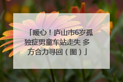 暖心！庐山市6岁孤独症男童车站走失 多方合力寻回（图）