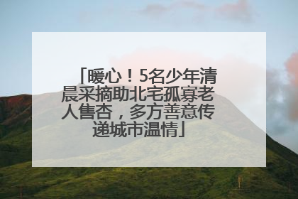 暖心！5名少年清晨采摘助北宅孤寡老人售杏，多方善意传递城市温情