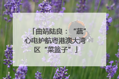曲靖陆良：“蔬”心电护航粤港澳大湾区“菜篮子”