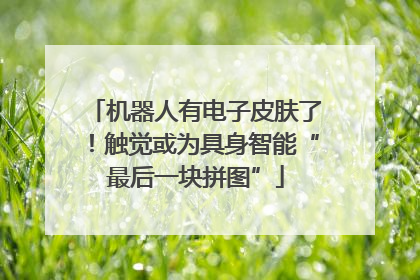 机器人有电子皮肤了！触觉或为具身智能“最后一块拼图”