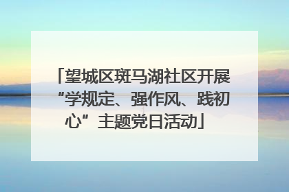 望城区斑马湖社区开展“学规定、强作风、践初心”主题党日活动