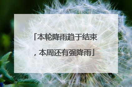 本轮降雨趋于结束，本周还有强降雨