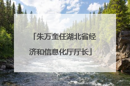 朱万奎任湖北省经济和信息化厅厅长