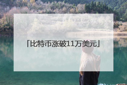 比特币涨破11万美元