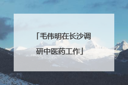 毛伟明在长沙调研中医药工作