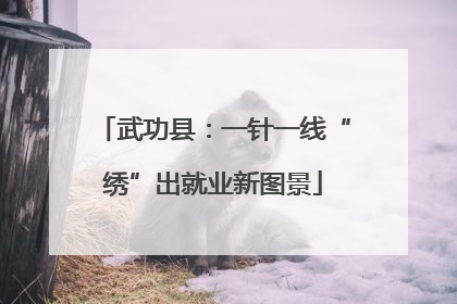 武功县：一针一线“绣”出就业新图景