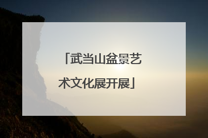 武当山盆景艺术文化展开展