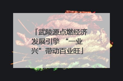 武陵源点燃经济发展引擎 “一业兴”带动百业旺