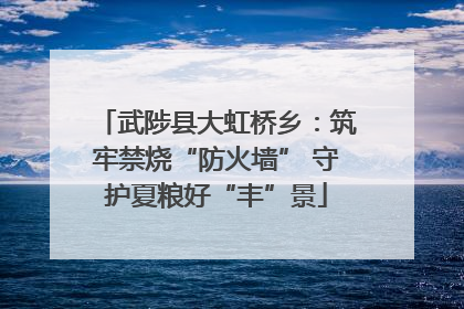 武陟县大虹桥乡：筑牢禁烧“防火墙” 守护夏粮好“丰”景