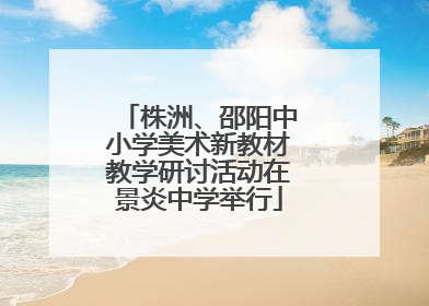 株洲、邵阳中小学美术新教材教学研讨活动在景炎中学举行