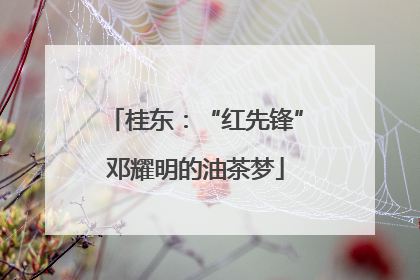 桂东：“红先锋”邓耀明的油茶梦