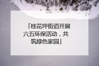 桂花坪街道开展六五环保活动，共筑绿色家园