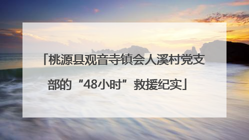 桃源县观音寺镇会人溪村党支部的“48小时”救援纪实