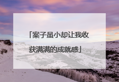 案子虽小却让我收获满满的成就感