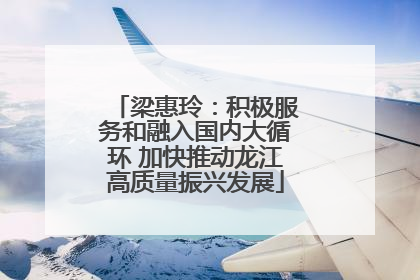 梁惠玲：积极服务和融入国内大循环 加快推动龙江高质量振兴发展