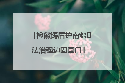 检徽铸盾护南疆 法治强边固国门