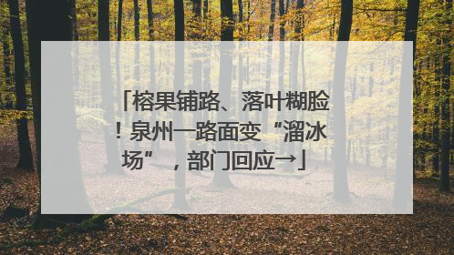 榕果铺路、落叶糊脸！泉州一路面变“溜冰场”，部门回应→