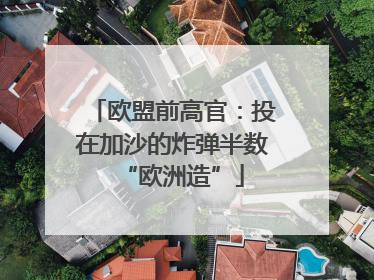 欧盟前高官：投在加沙的炸弹半数“欧洲造”