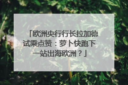欧洲央行行长拉加德试乘点赞：萝卜快跑下一站出海欧洲？