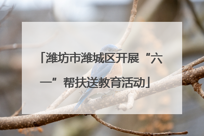 潍坊市潍城区开展“六一”帮扶送教育活动