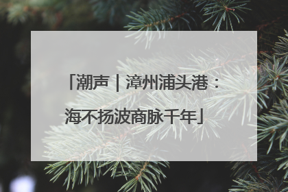 潮声｜漳州浦头港：海不扬波商脉千年