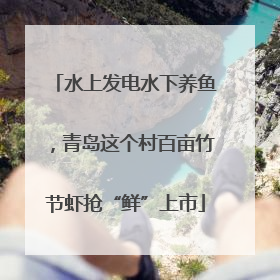 水上发电水下养鱼，青岛这个村百亩竹节虾抢“鲜”上市