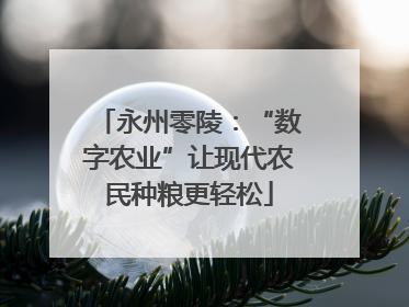 永州零陵：“数字农业”让现代农民种粮更轻松