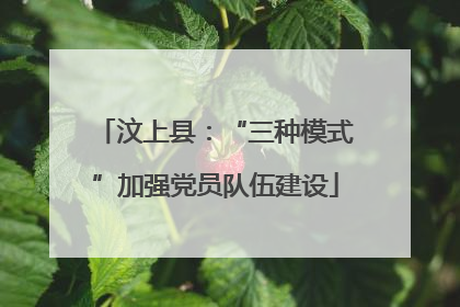 汶上县：“三种模式”加强党员队伍建设