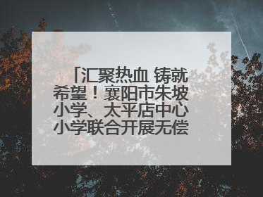 汇聚热血 铸就希望！襄阳市朱坡小学、太平店中心小学联合开展无偿献血活动