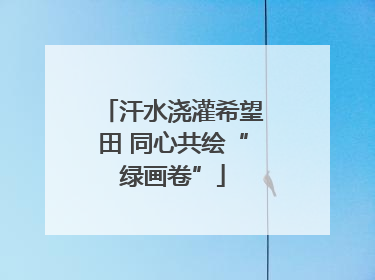 汗水浇灌希望田 同心共绘“绿画卷”