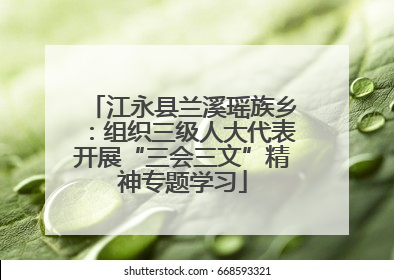 江永县兰溪瑶族乡：组织三级人大代表开展“三会三文”精神专题学习