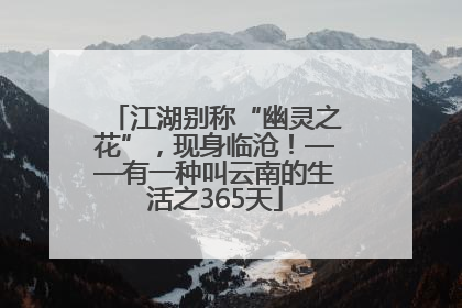 江湖别称“幽灵之花”，现身临沧！——有一种叫云南的生活之365天